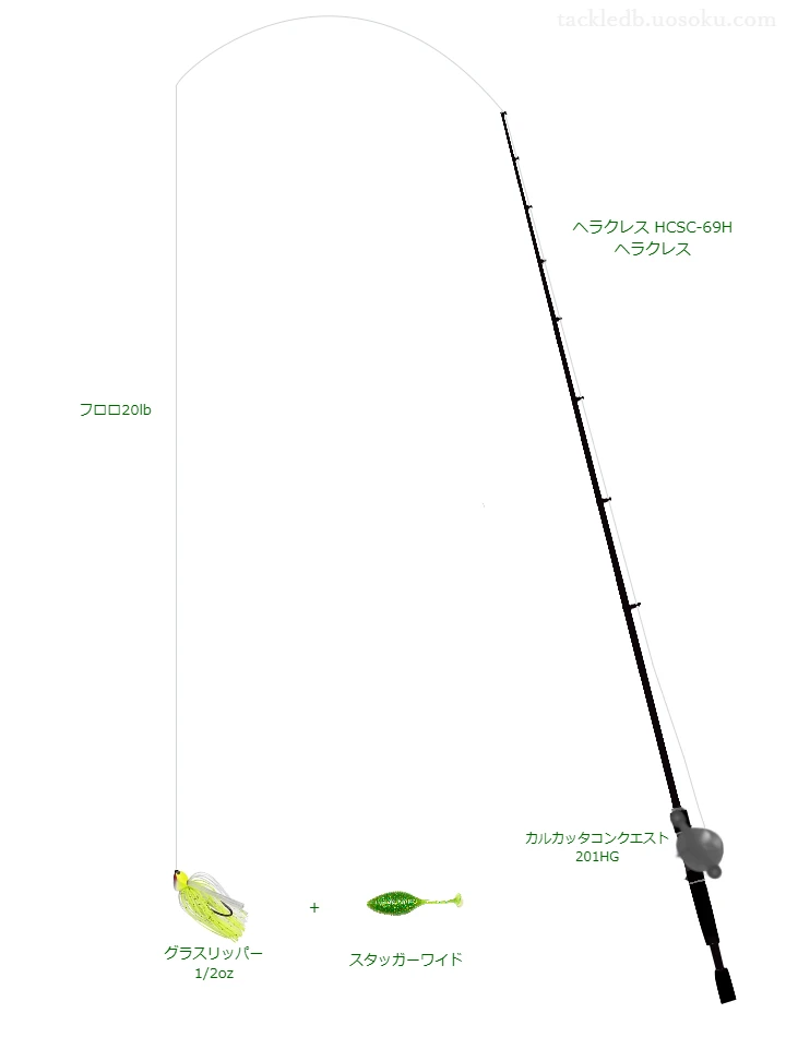 バス釣りに関するタックル、仕掛け図解