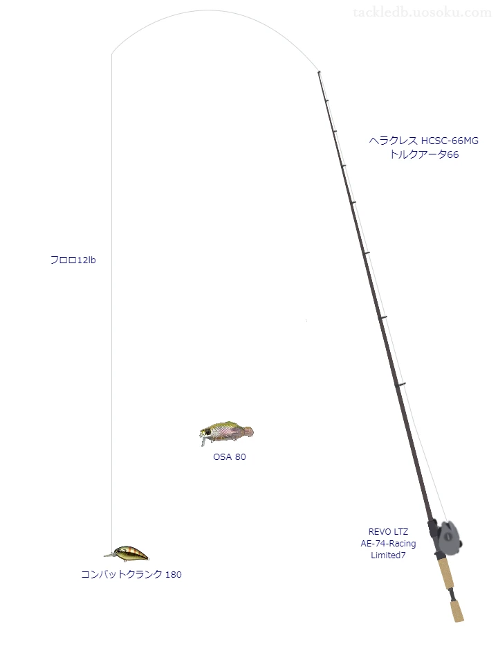 バス釣りに関するタックル、仕掛け図解