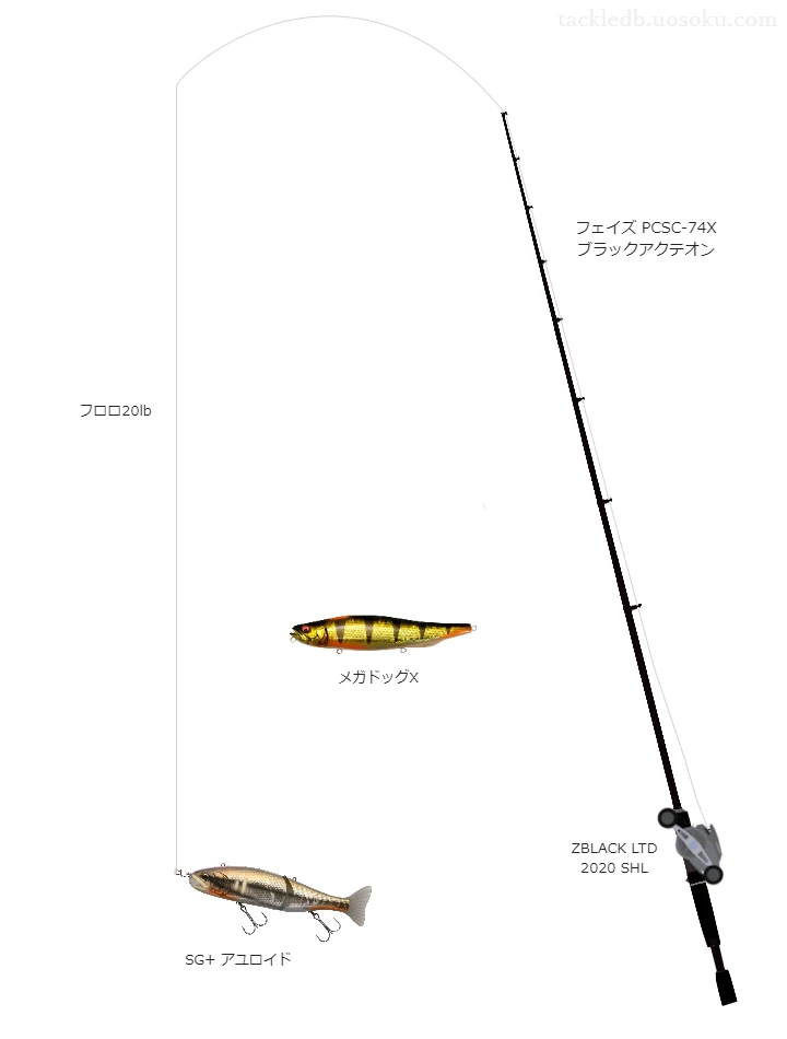 バス釣りに関するタックル、仕掛け図解