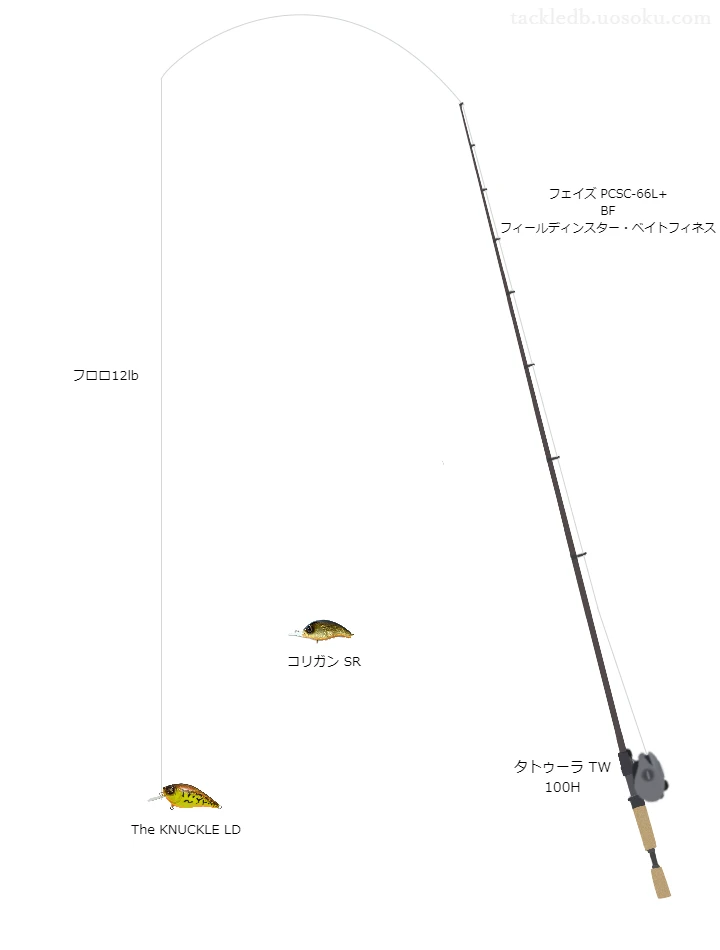 バス釣りに関するタックル、仕掛け図解