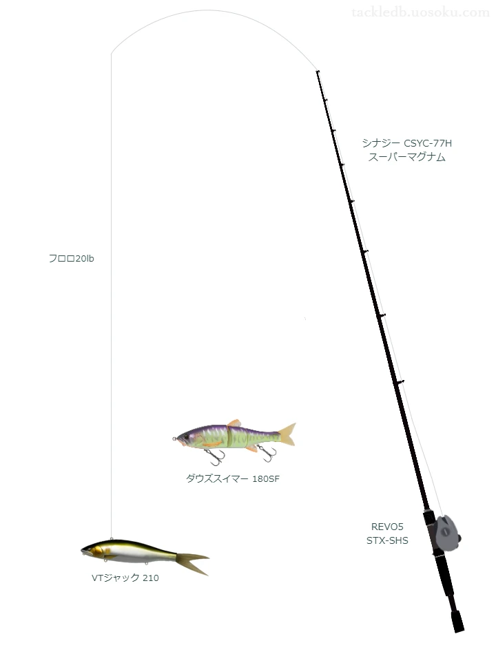 バス釣りに関するタックル、仕掛け図解