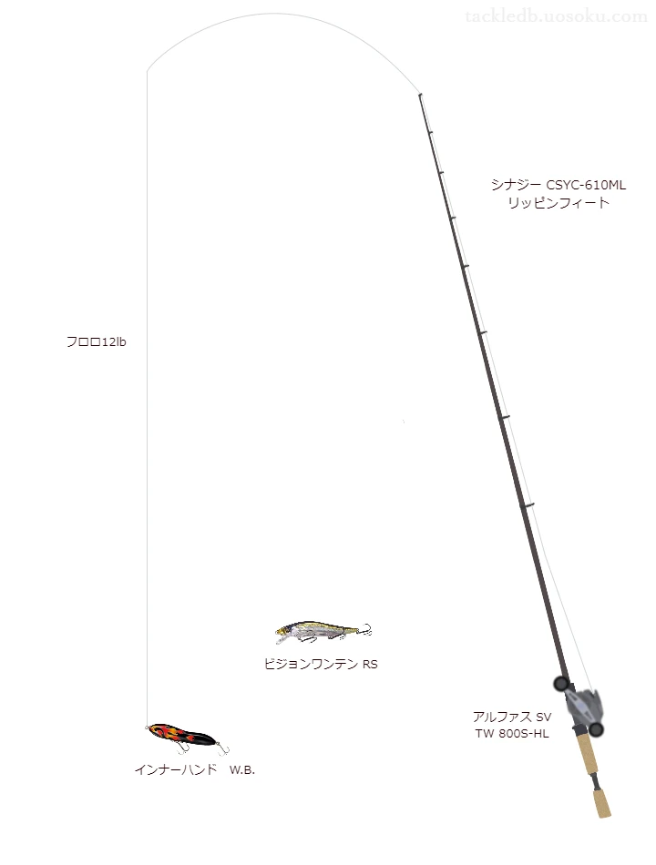 バス釣りに関するタックル、仕掛け図解