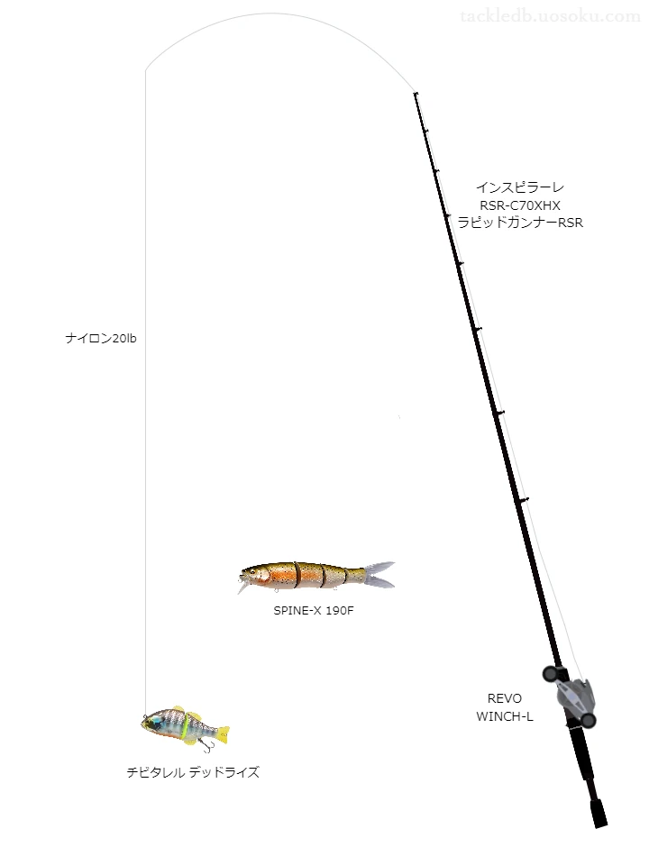 バス釣りに関するタックル、仕掛け図解