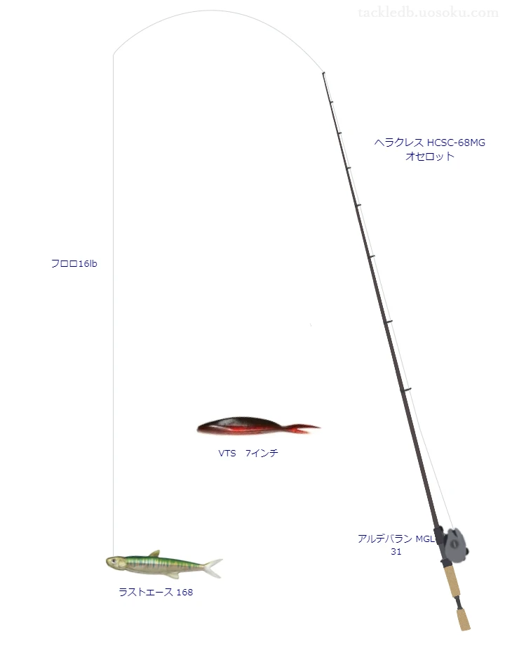 バス釣りに関するタックル、仕掛け図解