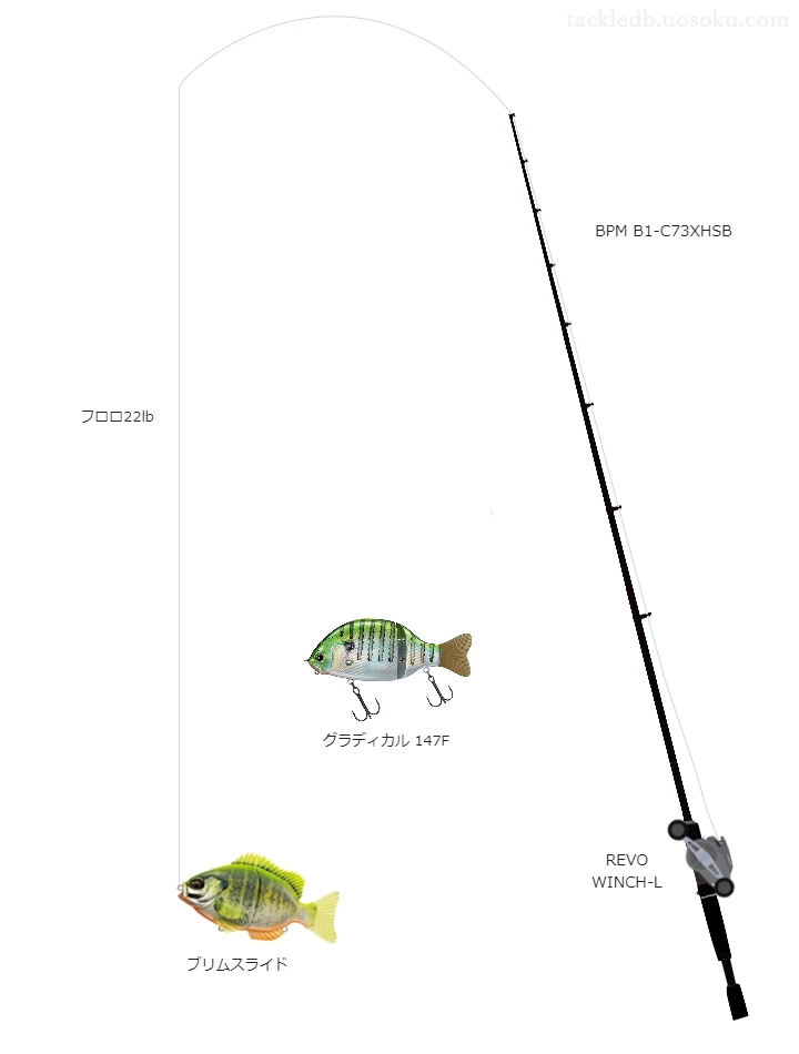 バス釣りに関するタックル、仕掛け図解