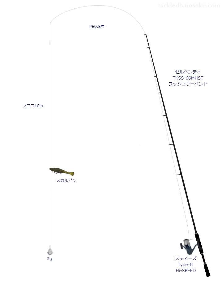 バス釣りに関するタックル、仕掛け図解