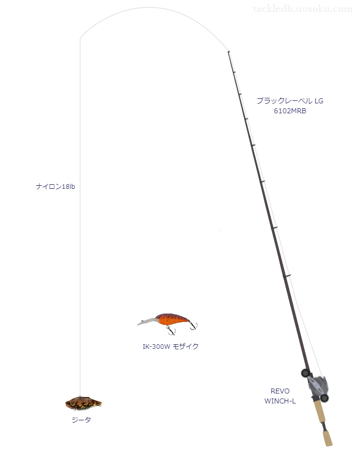 バス釣りに関するタックル、仕掛け図解