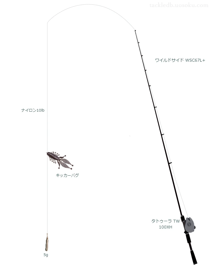 バス釣りに関するタックル、仕掛け図解