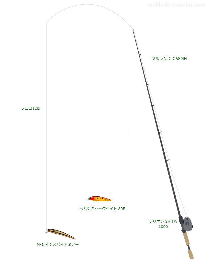 バス釣りに関するタックル、仕掛け図解