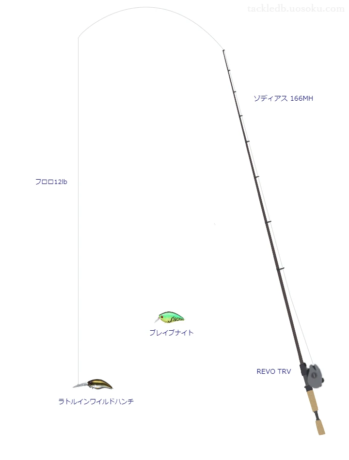 バス釣りに関するタックル、仕掛け図解