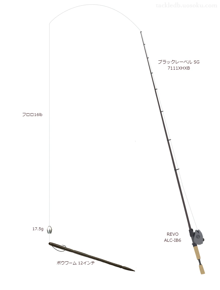 バス釣りに関するタックル、仕掛け図解