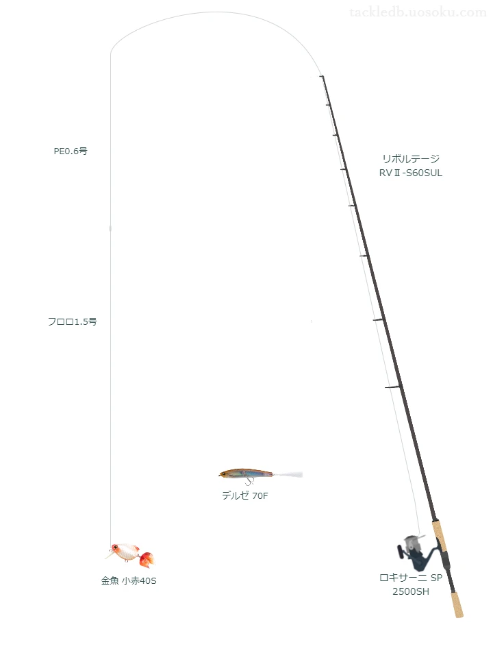 バス釣りに関するタックル、仕掛け図解