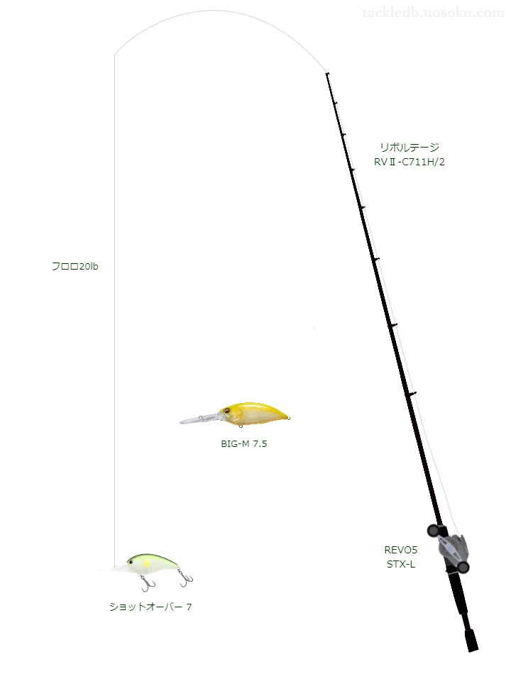 バス釣りに関するタックル、仕掛け図解