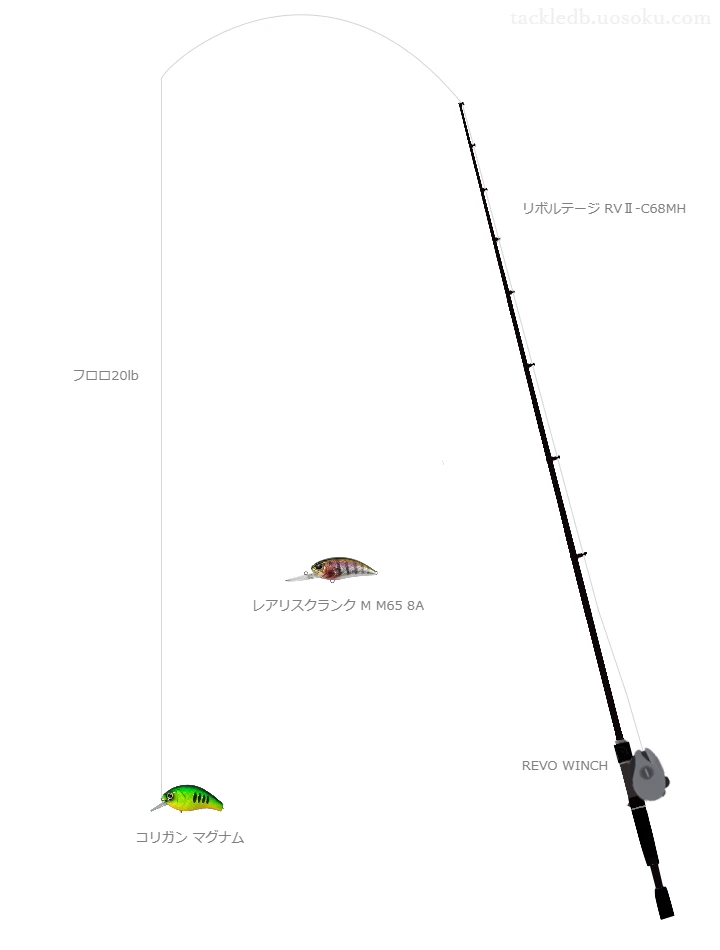 バス釣りに関するタックル、仕掛け図解