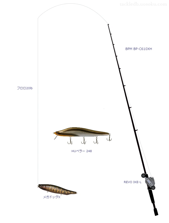 バス釣りに関するタックル、仕掛け図解