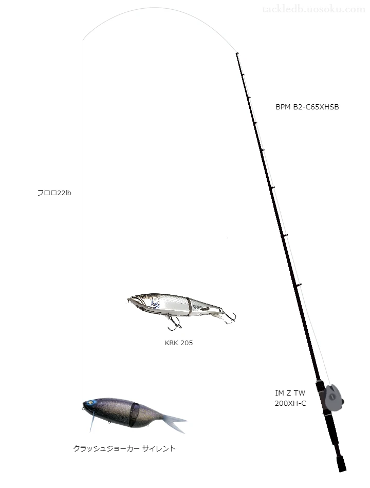 バス釣りに関するタックル、仕掛け図解