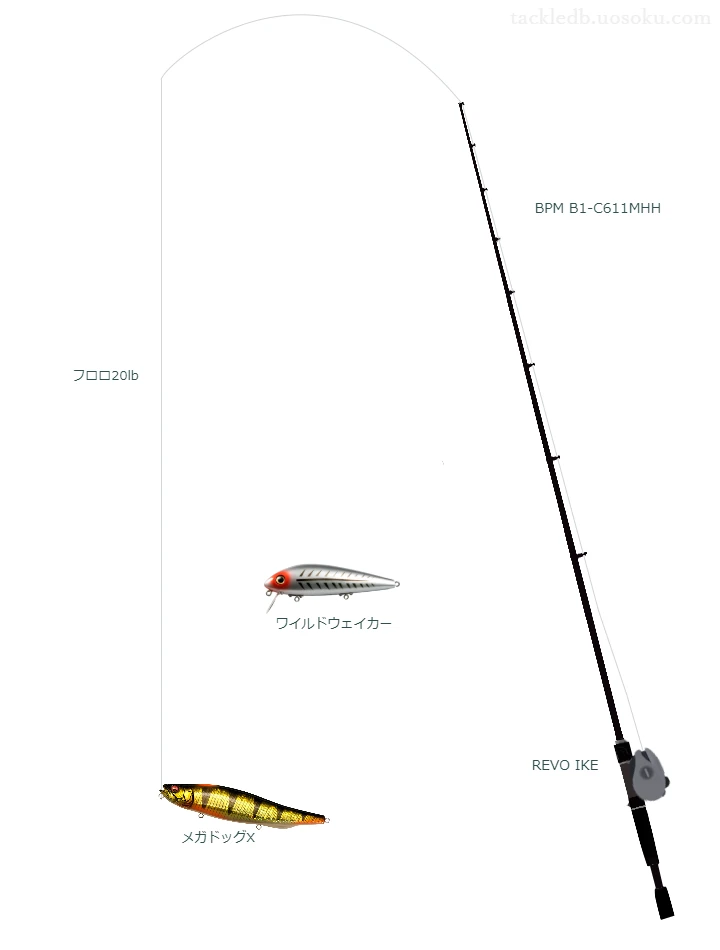 バス釣りに関するタックル、仕掛け図解