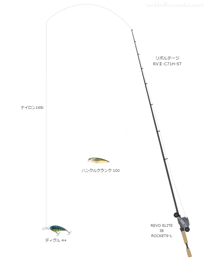 バス釣りに関するタックル、仕掛け図解