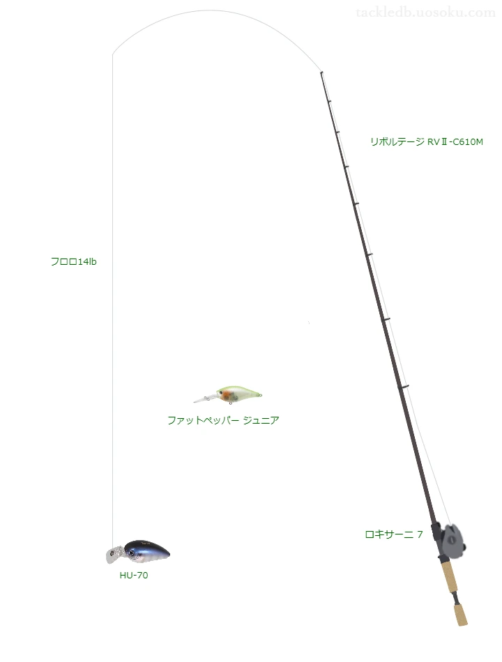 バス釣りに関するタックル、仕掛け図解