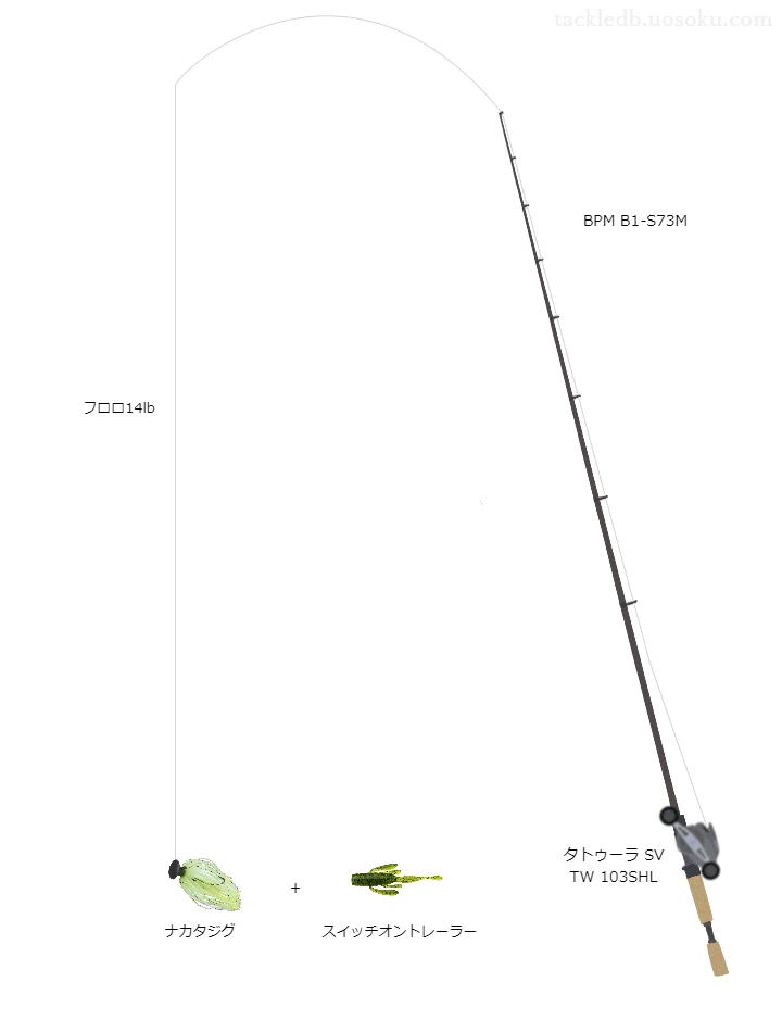 バス釣りに関するタックル、仕掛け図解