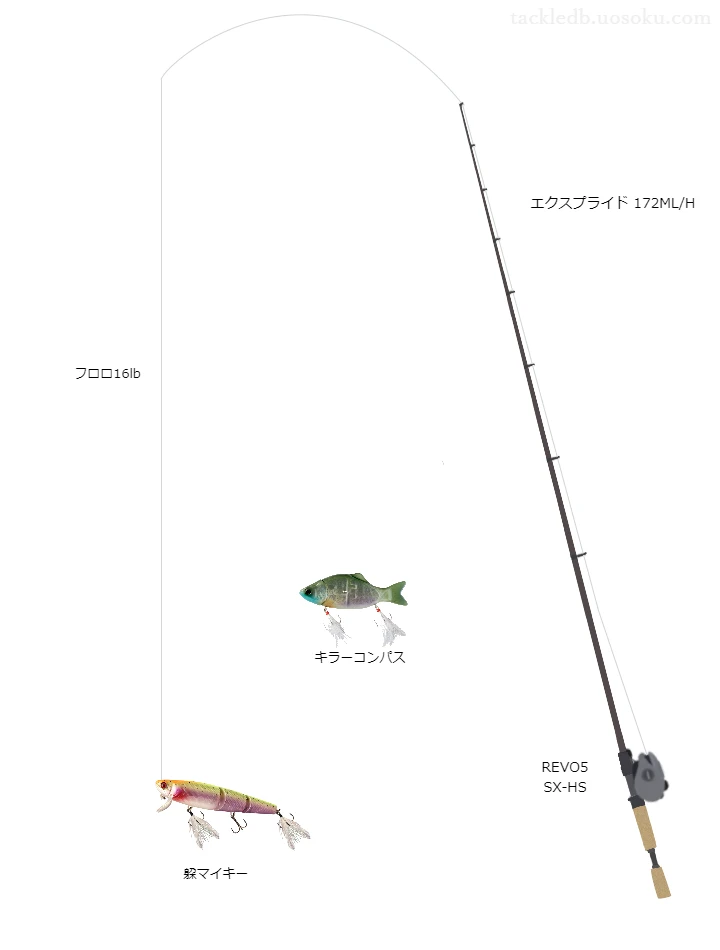 バス釣りに関するタックル、仕掛け図解