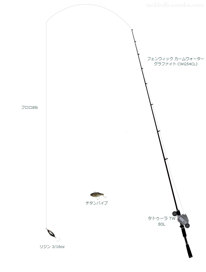 フェンウィック カームウォーター グラファイト CWG54CLJとダイワのリールでリジン 3/16ozを使用するタックル