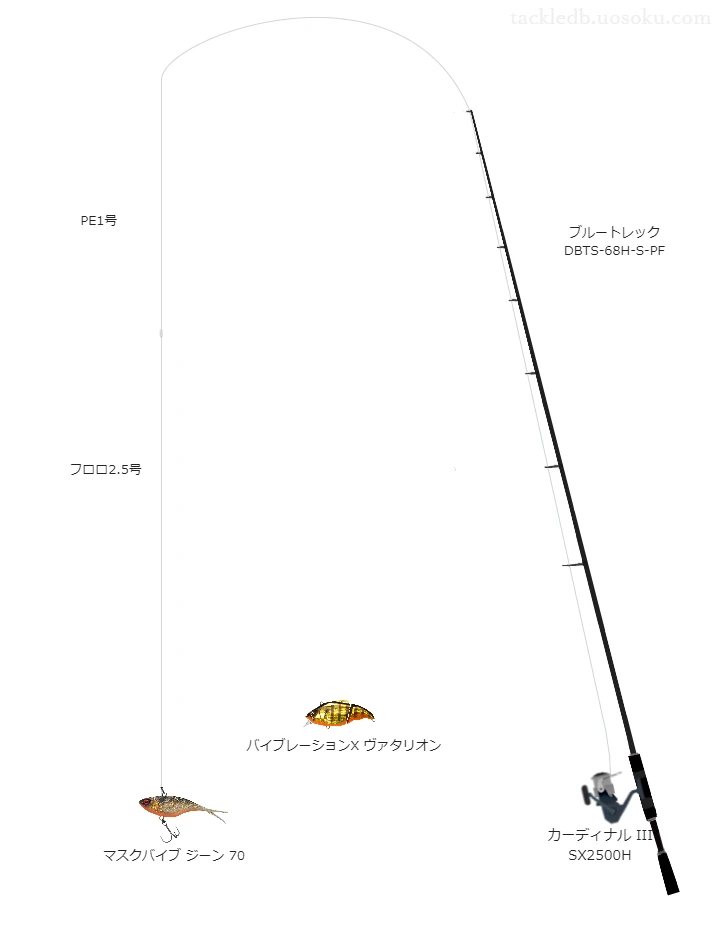 バス釣りに関するタックル、仕掛け図解