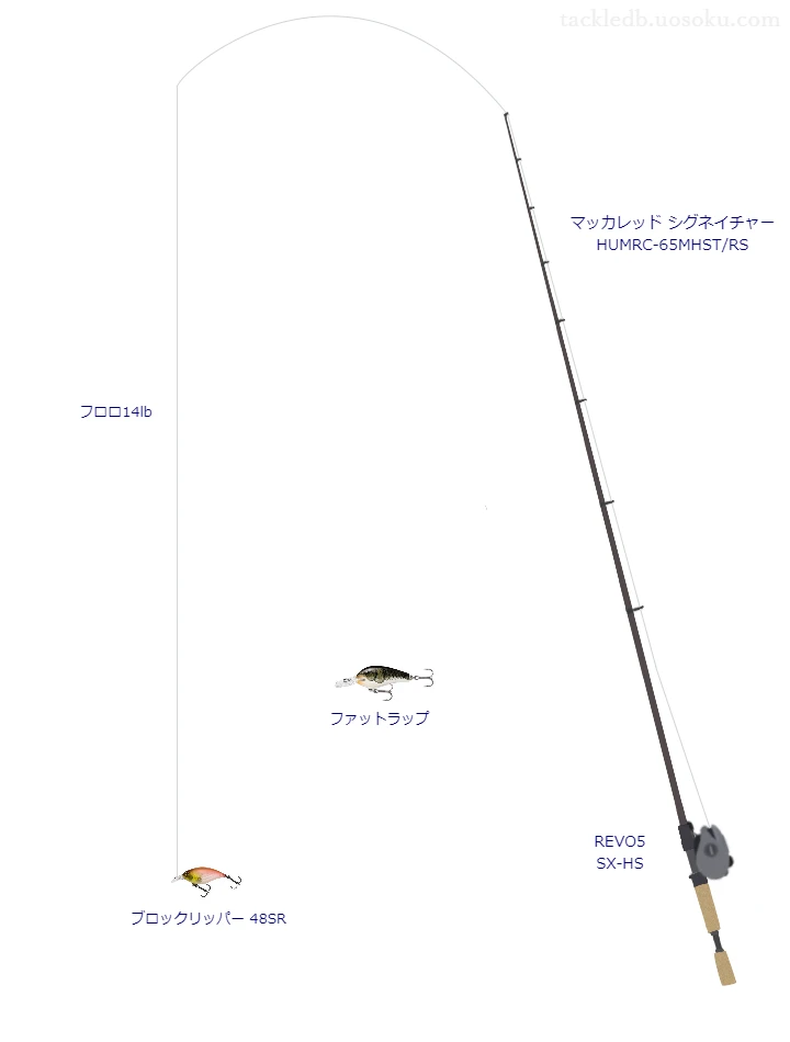 エクスレッド type NS 14lbをマッカレッド シグネイチャー HUMRC-65MHST/RSと使用したベイトタックル【仮想インプレ】