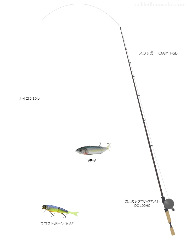 バス釣りに関するタックル、仕掛け図解