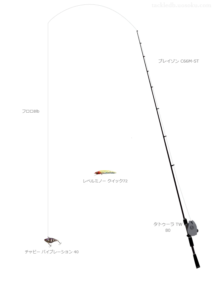 バス釣りに関するタックル、仕掛け図解