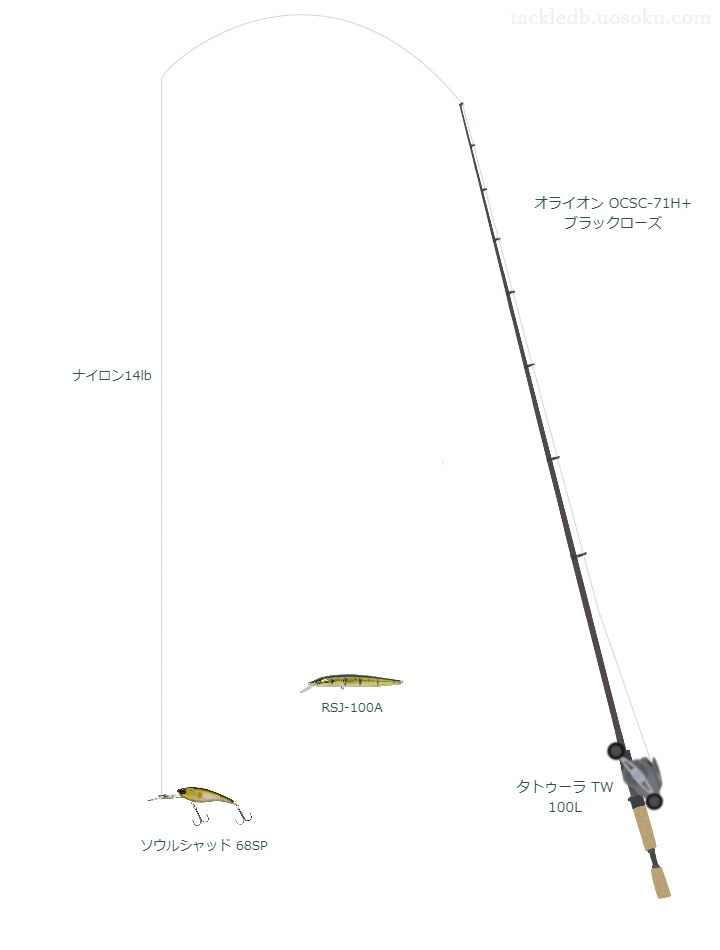 バス釣りに関するタックル、仕掛け図解