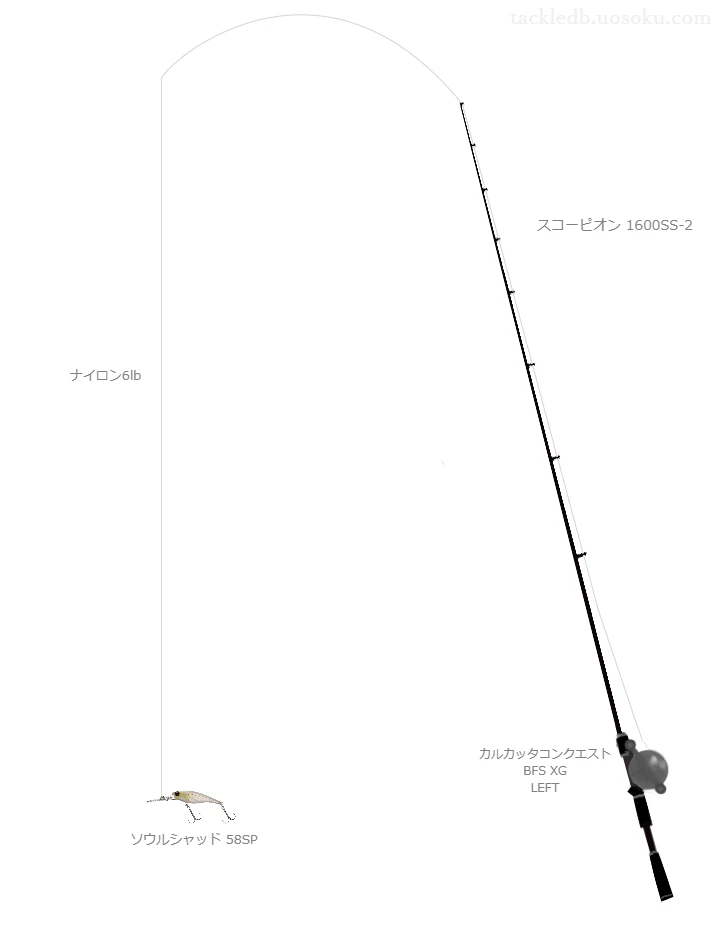 バス釣りに関するタックル、仕掛け図解