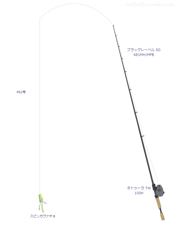 バス釣りに関するタックル、仕掛け図解