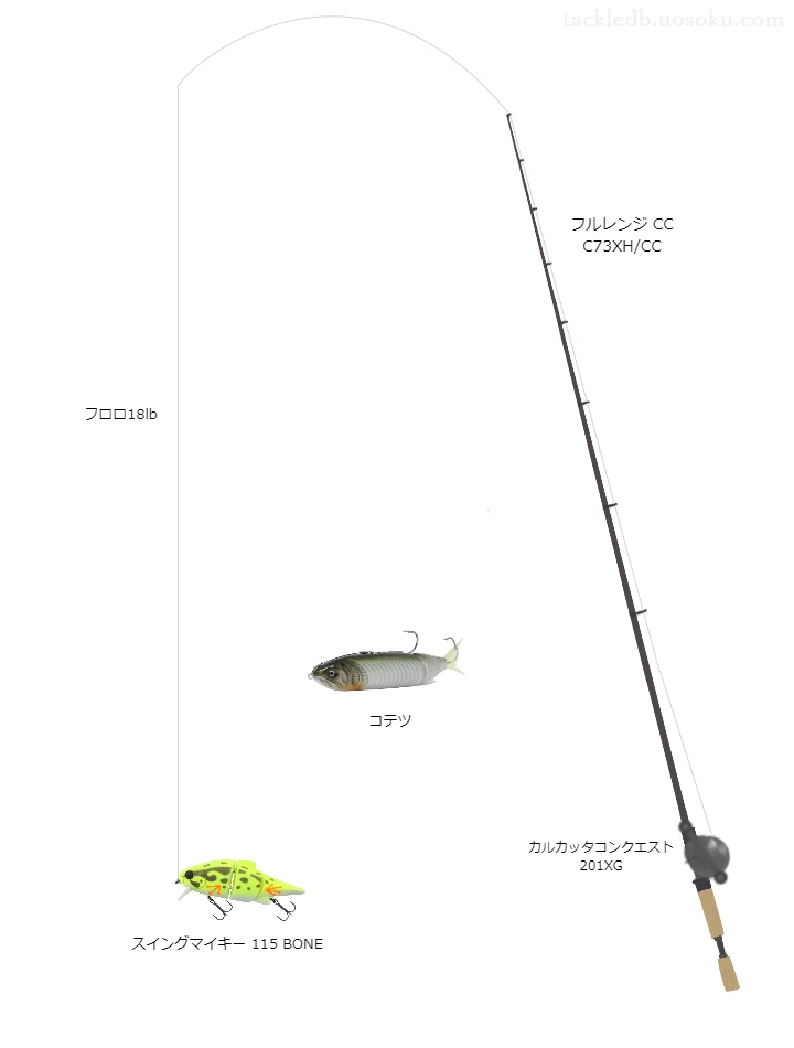 バス釣りに関するタックル、仕掛け図解