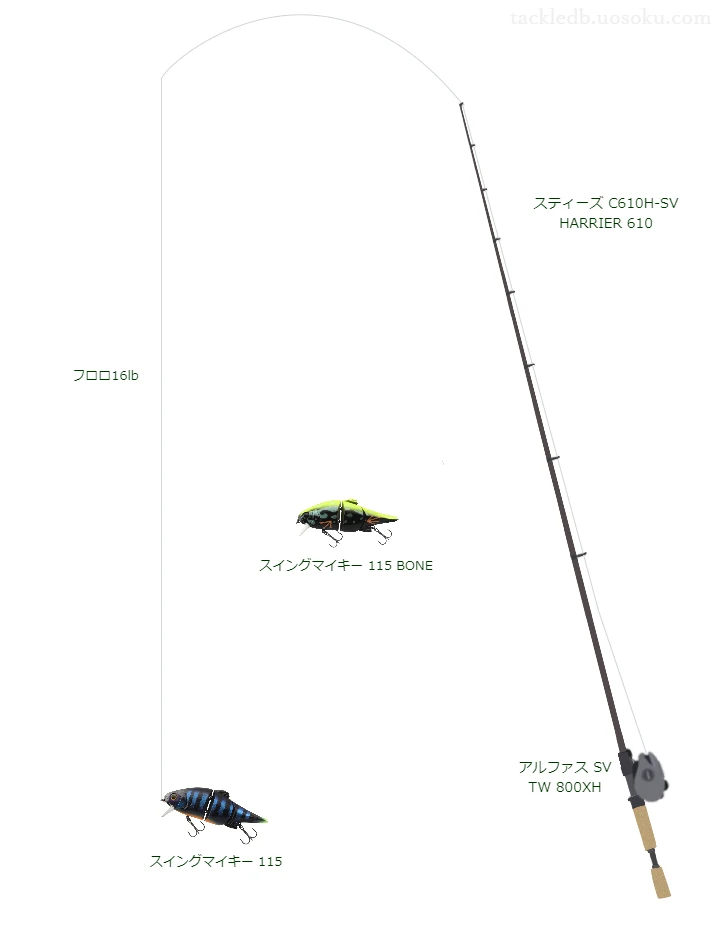 バス釣りに関するタックル、仕掛け図解