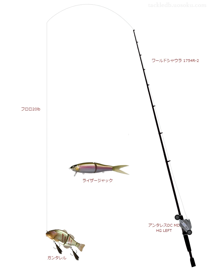 バス釣りに関するタックル、仕掛け図解