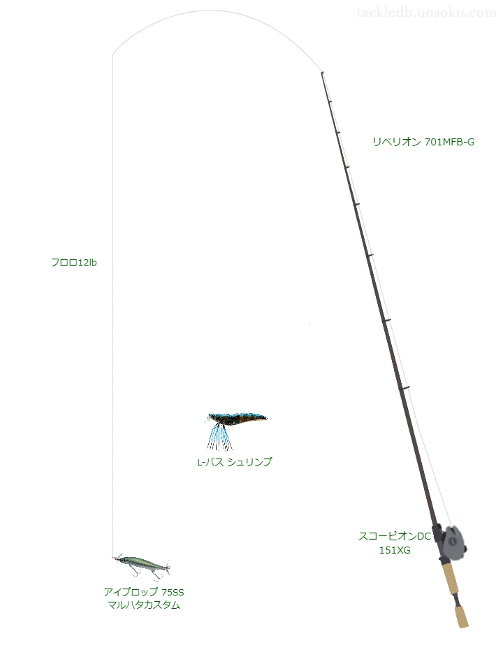 バス釣りに関するタックル、仕掛け図解