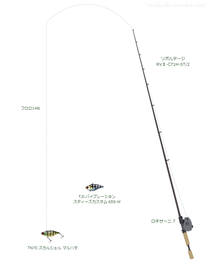 【音水湖】TN70 スカルシェル マルハタのためのバス釣りタックル【リボルテージ RVⅡ-C71H-ST/2】