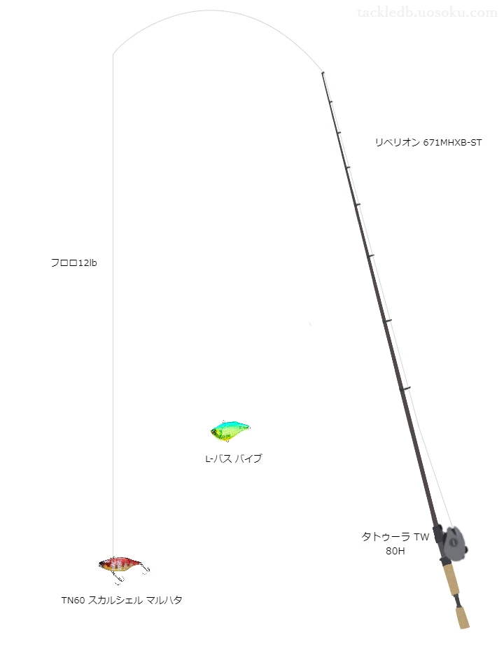 バス釣りに関するタックル、仕掛け図解