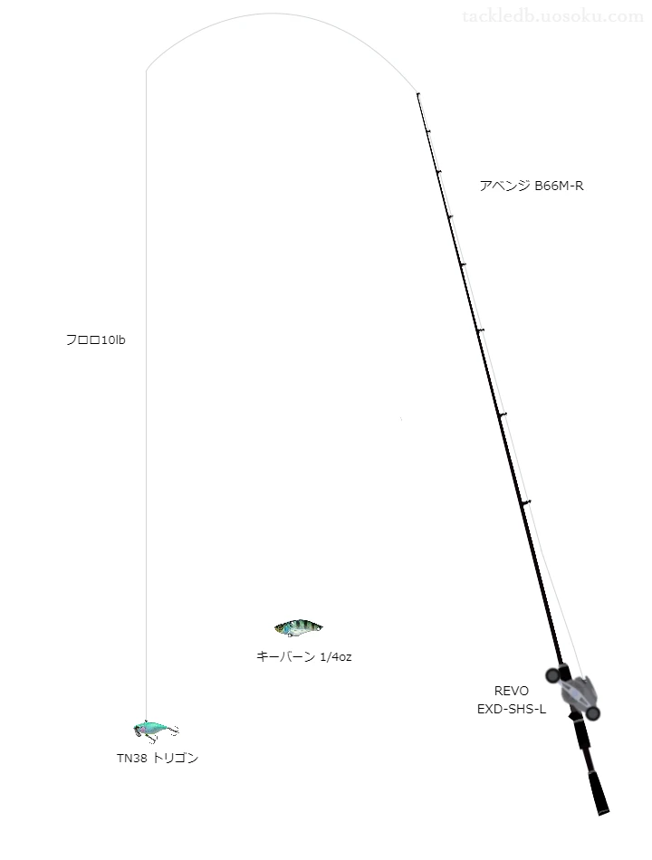 TN38 トリゴンのためのベイトタックル。がまかつのロッドとアブガルシアのリール