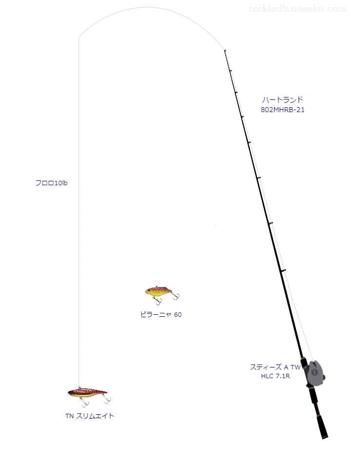 バス釣りに関するタックル、仕掛け図解