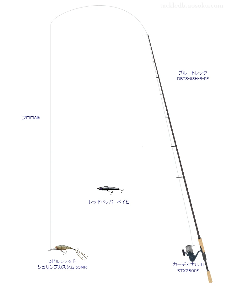 バス釣りに関するタックル、仕掛け図解