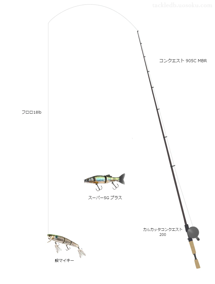 バス釣りに関するタックル、仕掛け図解