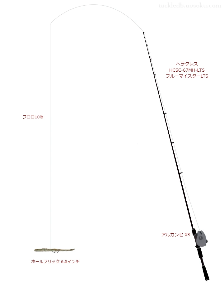 バス釣りに関するタックル、仕掛け図解