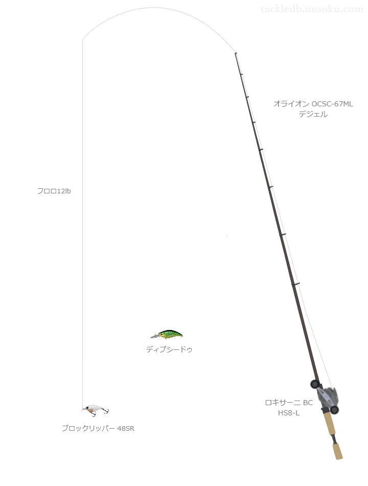 ブロックリッパー 48SRのためのバス釣りタックル【クランクベイト】