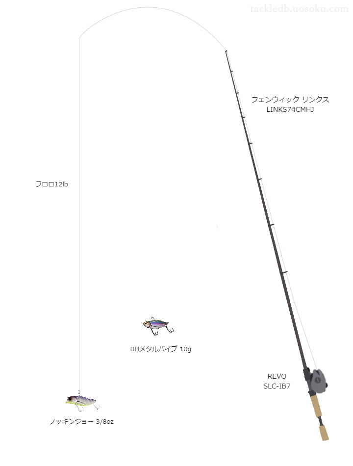 バス釣りに関するタックル、仕掛け図解