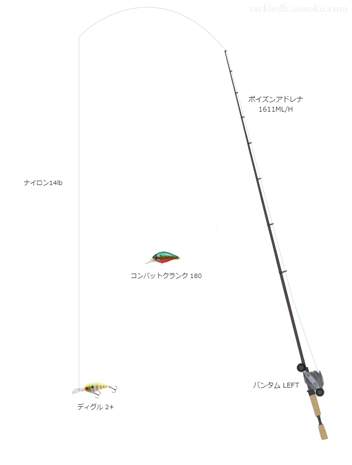 バス釣りに関するタックル、仕掛け図解