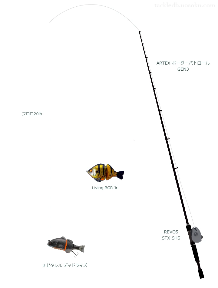 バス釣りに関するタックル、仕掛け図解