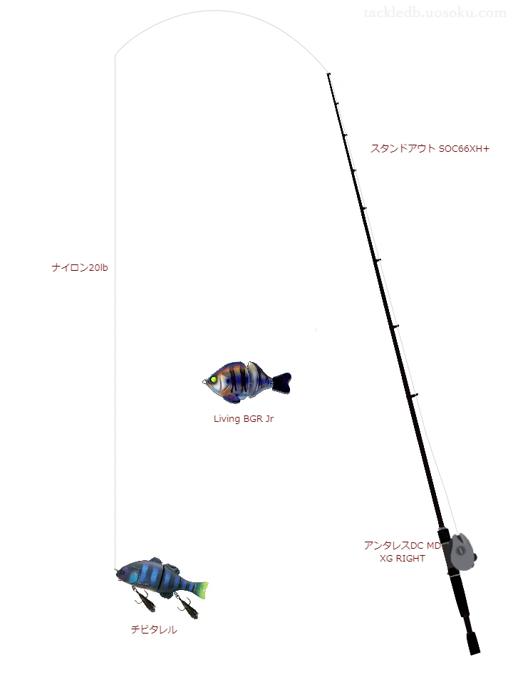 バス釣りに関するタックル、仕掛け図解