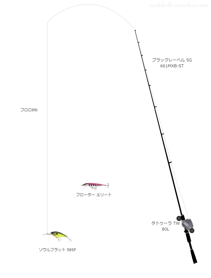 ソウルフラット 58SFのためのバス釣りタックル【シャッド】